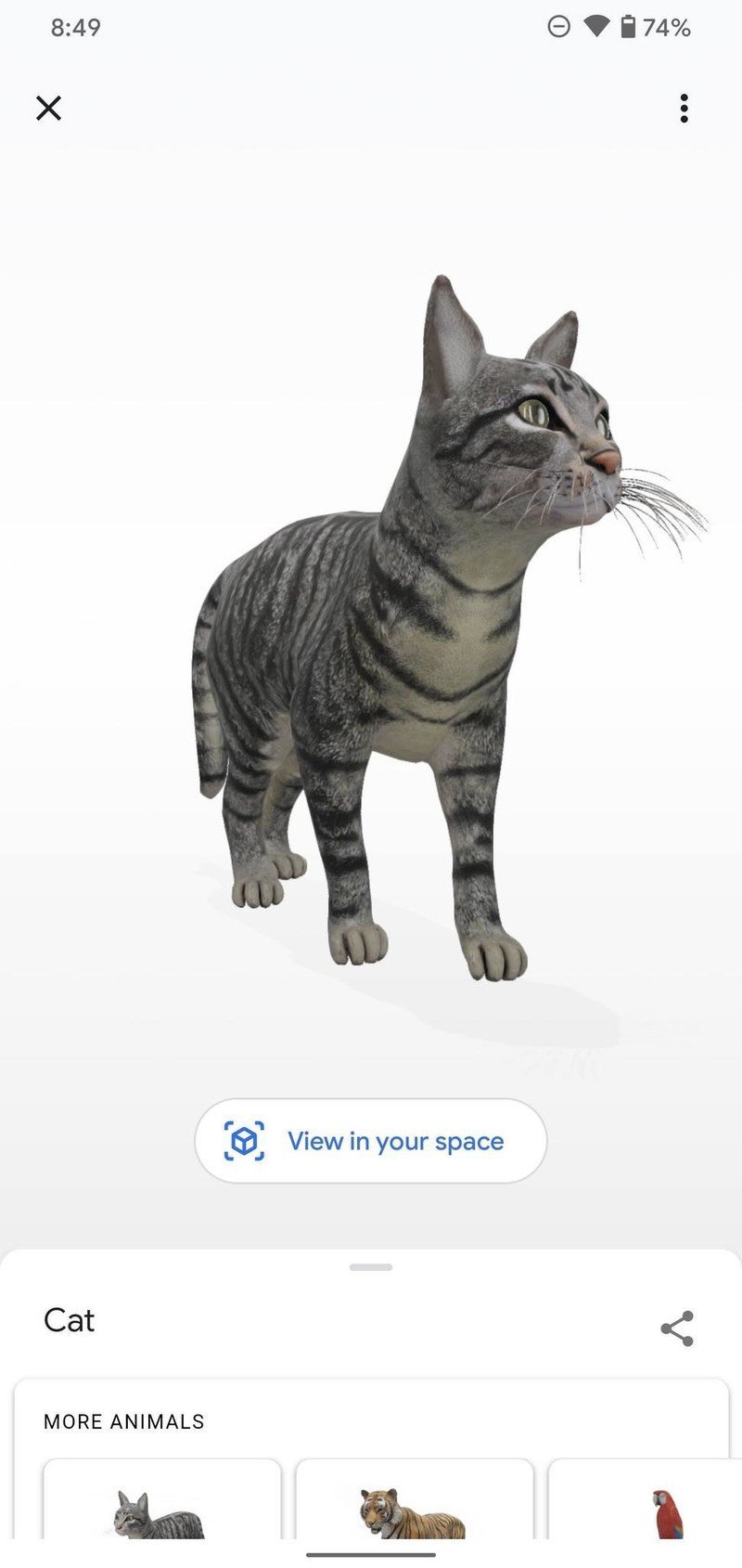 Google Search 3D animals