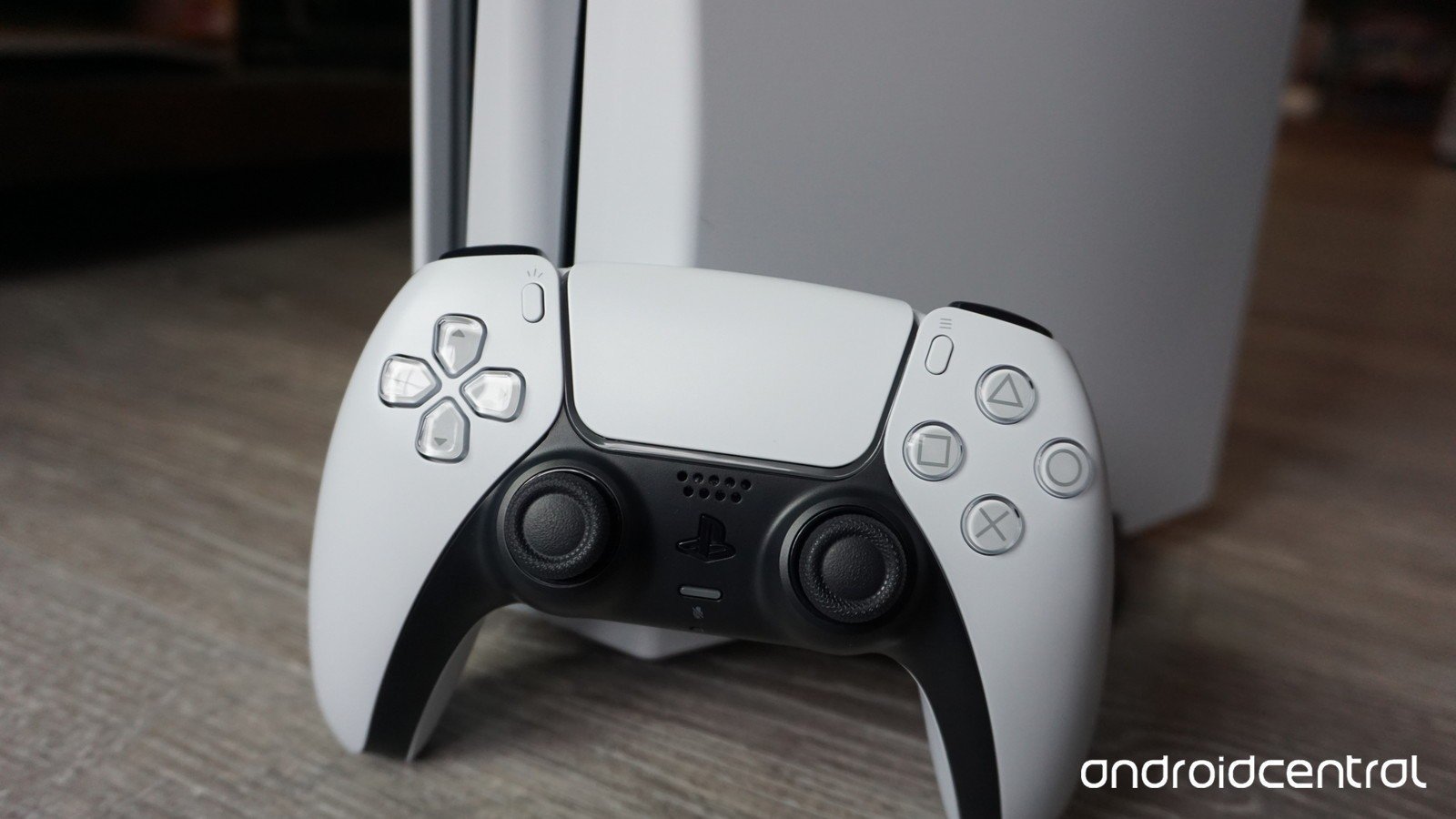 Ps5 Dualsense Bottom Half