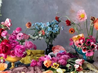 How to capture stunning floral photos with iPhone 12 Pro models