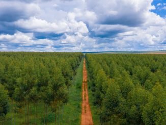 Apple expands innovative Restore Fund for carbon removal