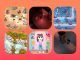 Apple Arcade launches 4 new games and 40+ updates in September