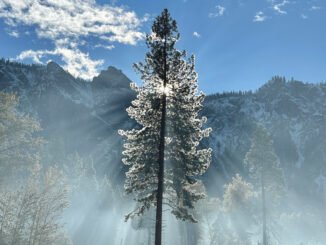 Apple celebrates America’s national parks