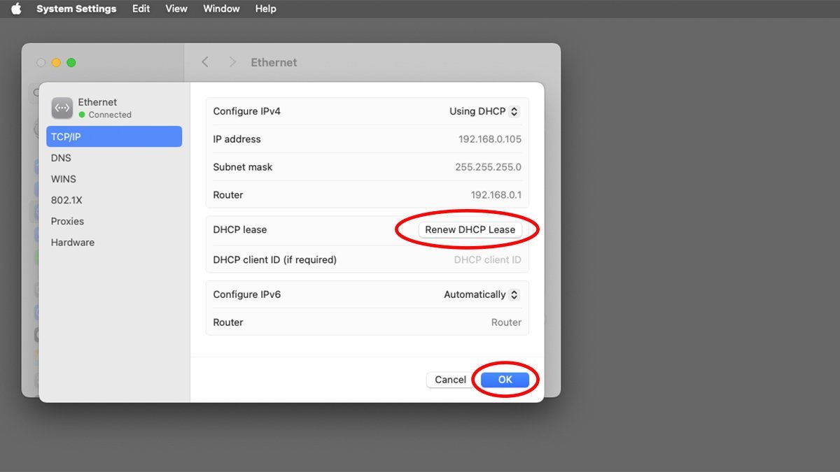 Click 'Renew DHCP Lease' to reset the IP lease on your Mac's network interface.