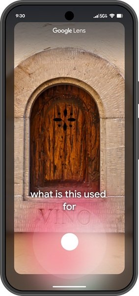 Google Lens lets users aim their camera at something in real life, ask a question, and receive an AI Overview about it.