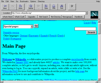 Netscape Browser window at full size in 2025.