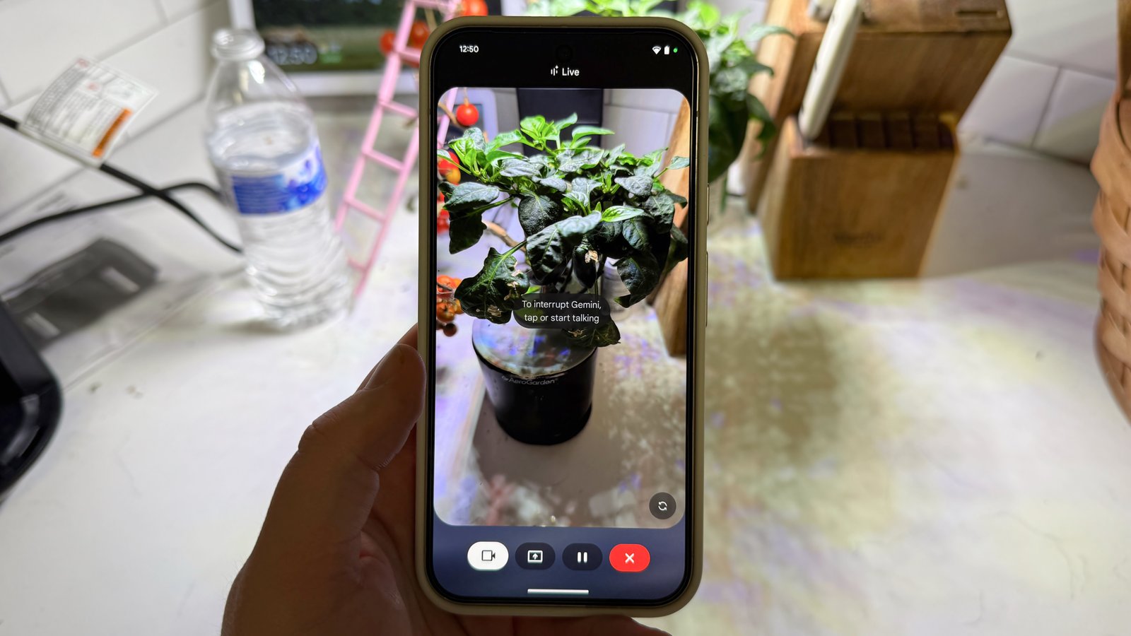 Using Gemini Live to grow plants and diagnose problems.