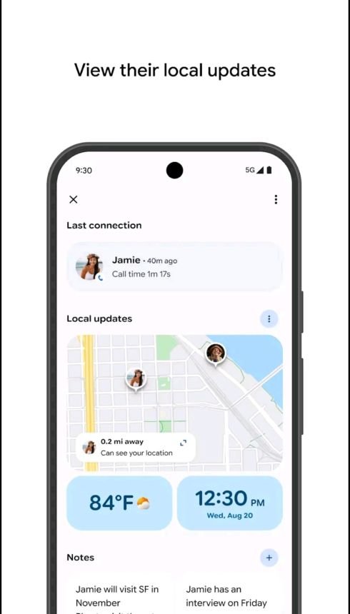 different sections of the new Pixel VIPs widget