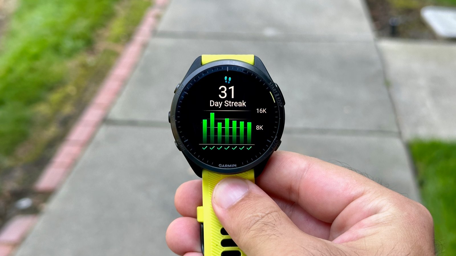 A 31-day walk streak graph on the Garmin Forerunner 965